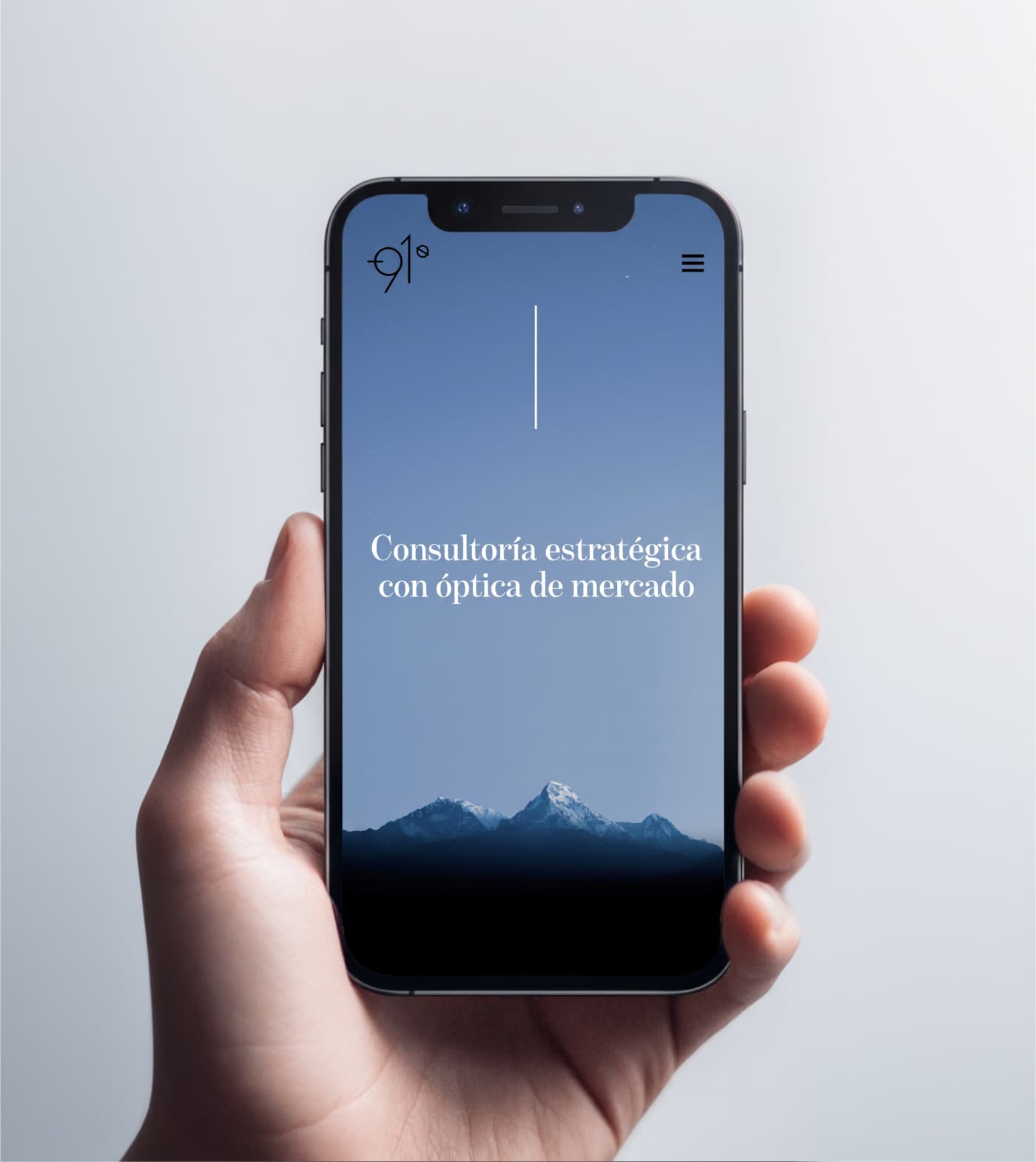 91 Grados — mockup móvil del proyecto