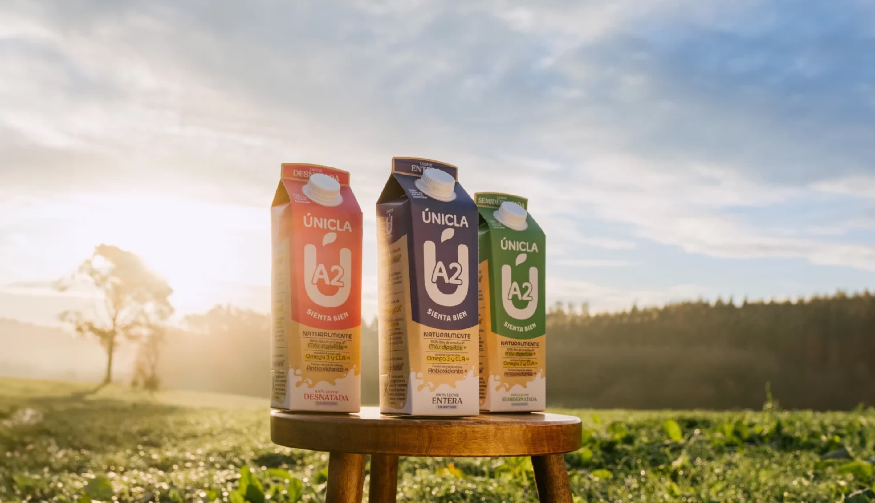 Únicla — imagen principal del proyecto