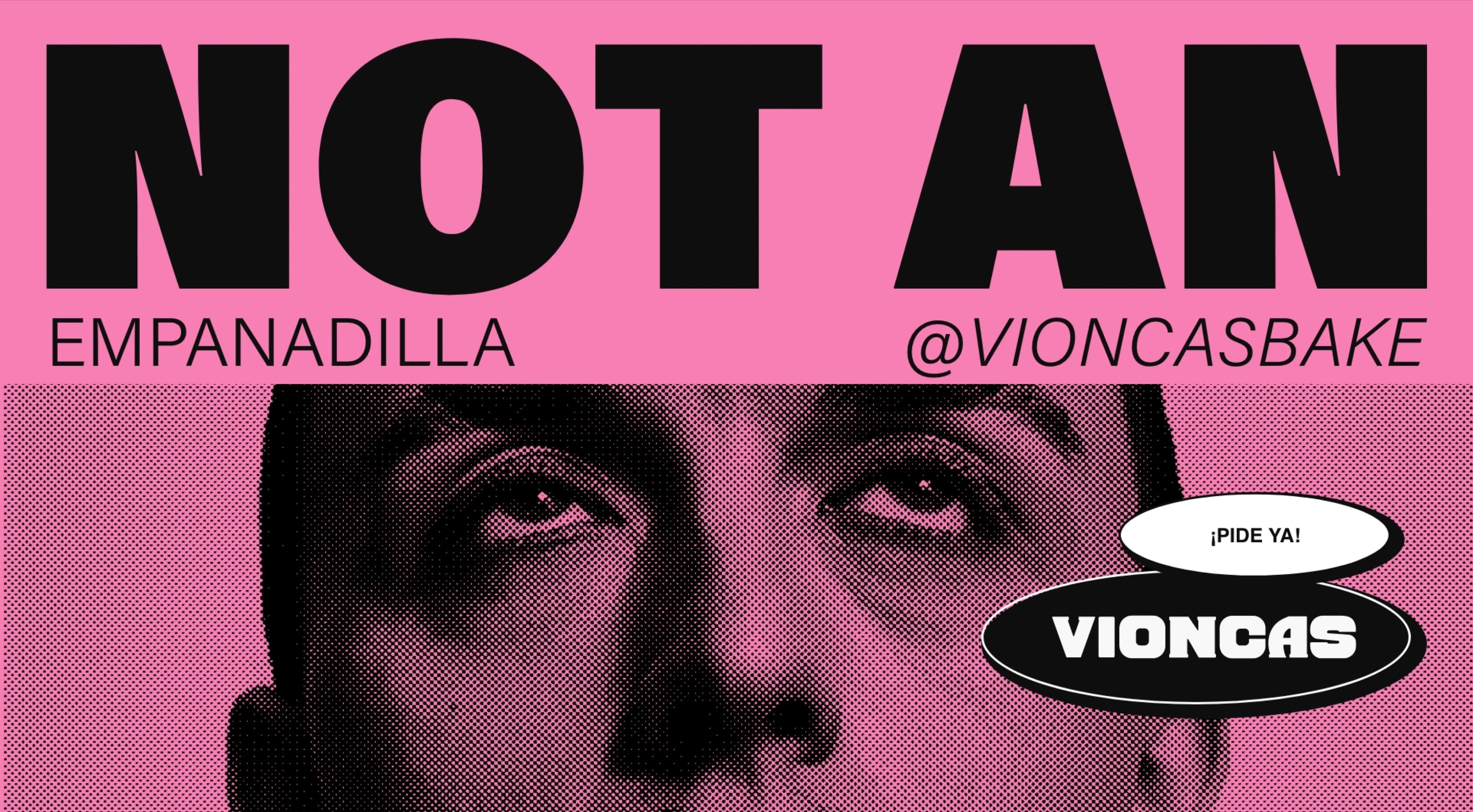 Vioncas — imagen del proyecto