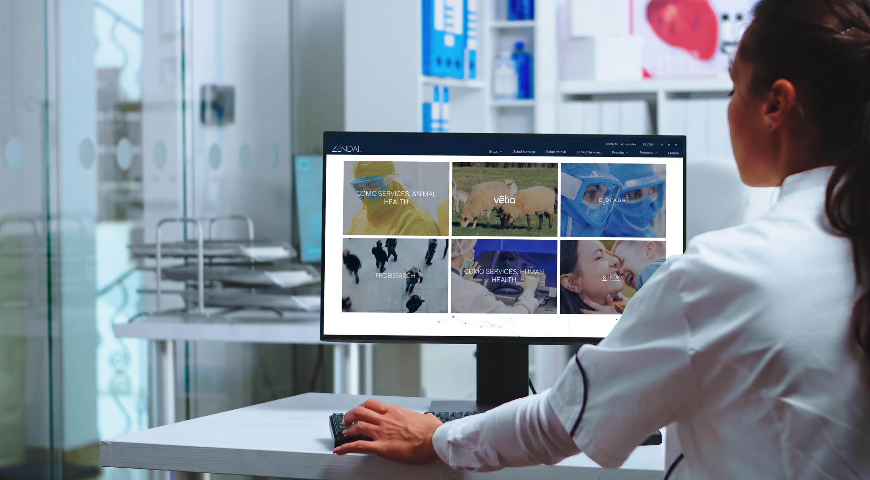 Zendal — captura web del proyecto